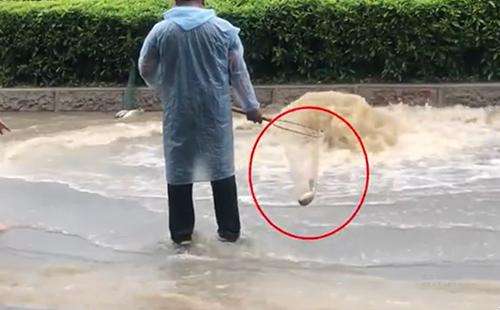 輸送帶廠家：廣州雨后內(nèi)澇嚴(yán)重，路人當(dāng)街捕魚