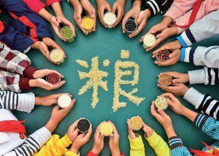 輸送帶廠家：第40個(gè)世界糧食日，食品安全很重要