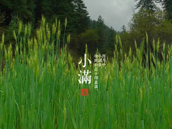 今日小滿，擎川與你一起靜待美滿！